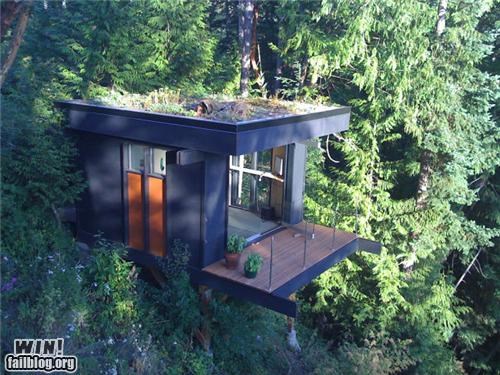 Tree Office WIN