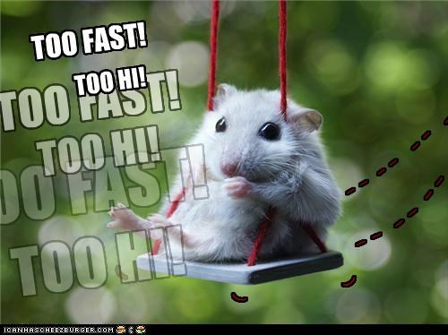 too fast! too hi!
