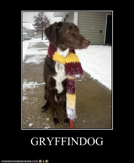 GRYFFINDOG