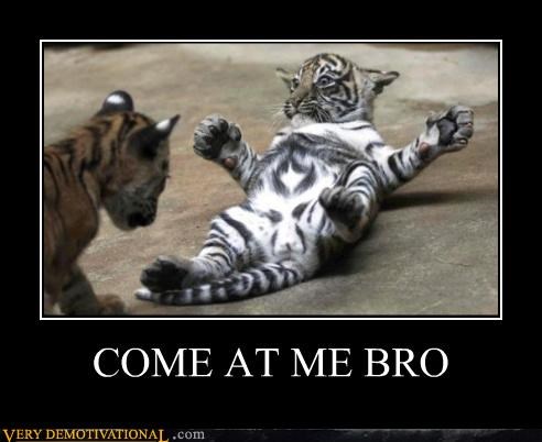 COME AT ME BRO