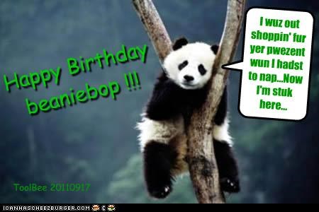 Happy Birthday beaniebop !!!