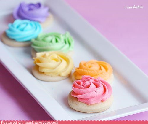 Epicute: Rainbow Roses