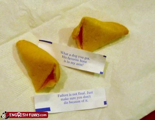 Fortune Cookie Friday: Wisdom for FAIL Blog