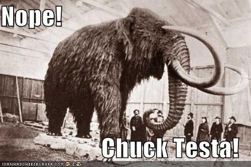 Real Wooly Mammoth?