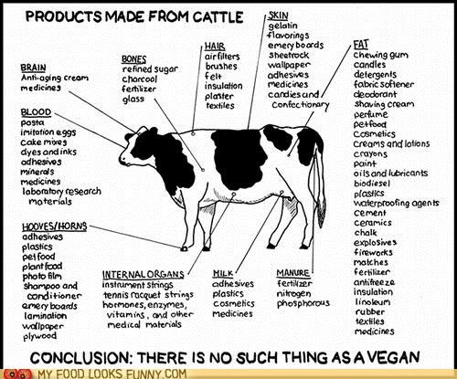 We are All Made of Cow