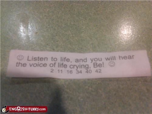 Fortune Cookie Friday: Existential Crisis Cookie