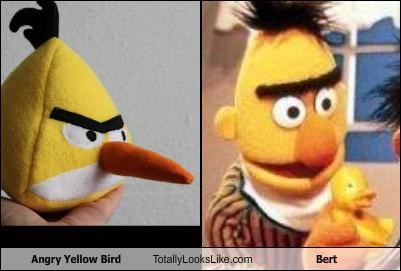 Angry Yellow Bird Totally Looks Like Bert