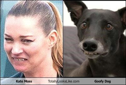 Kate Moss Totally Looks Like a Goofy Dog