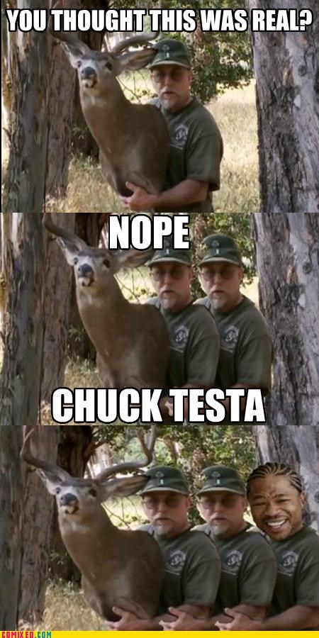 Yo Dawg, I Heard You...Nope! Chuck Testa