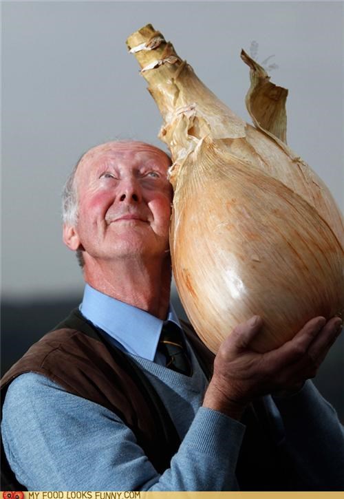 Oh Onion, I Love You