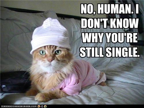 NO, HUMAN.