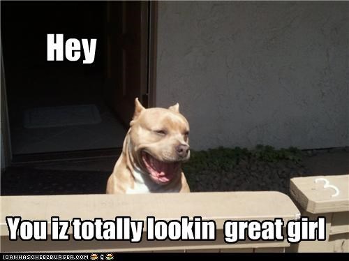Hey