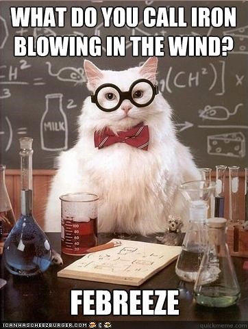MemeCats: Smells So Good!