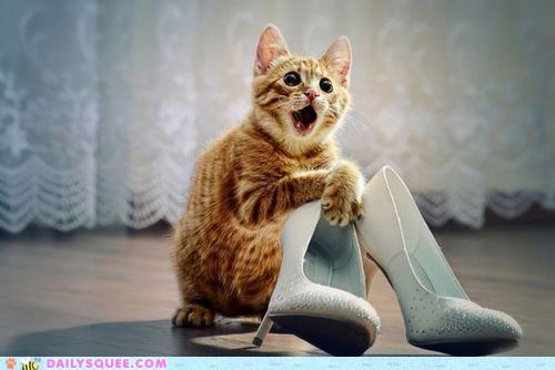 Acting Like Animals: Is This What Love Feels Like?