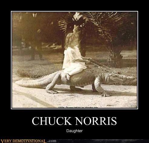 CHUCK NORRIS