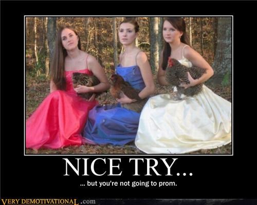 NICE TRY...