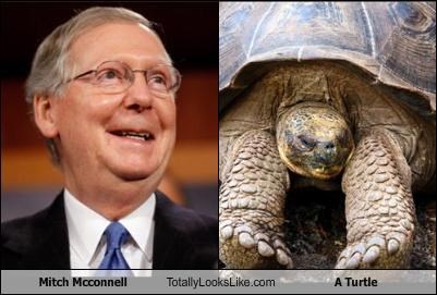 Mitch Mcconnell Totally Looks Like A Turtle