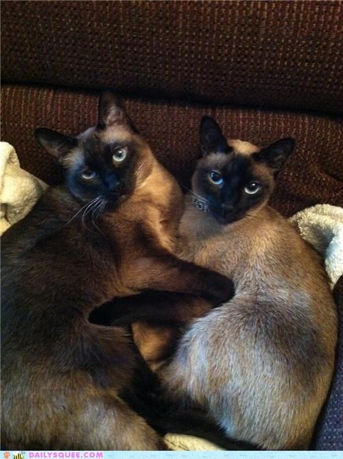 My Children