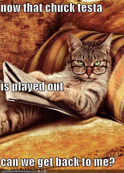 MemeCats: Um, How About "NOPE!"
