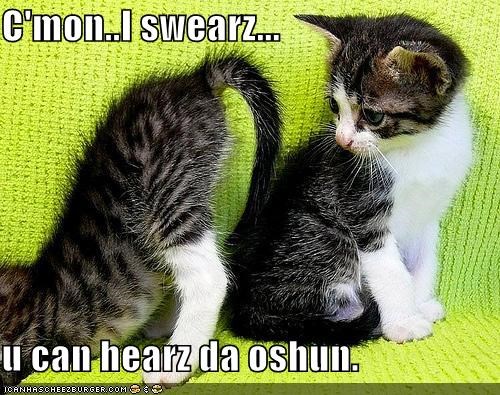 C'mon..I swearz...  u can hearz da oshun.