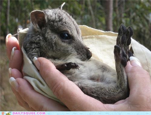Squee Spree: Having a Ball