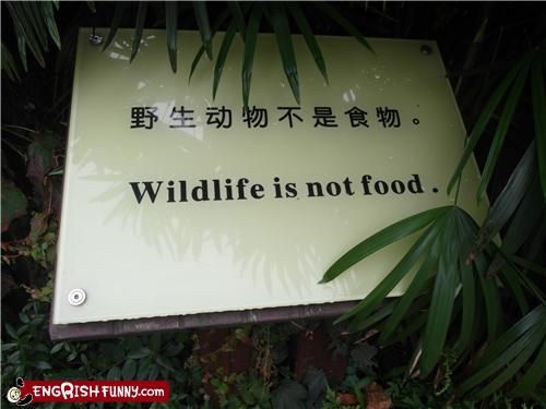 I Beg to Differ!