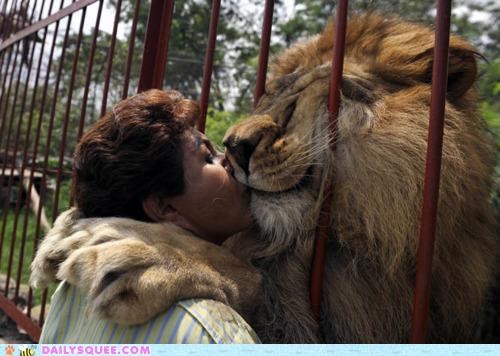 Acting Like Animals: Kiss Me, Kiss Me, Kiss Me