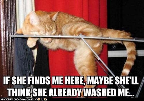 IF SHE FINDS ME HERE,