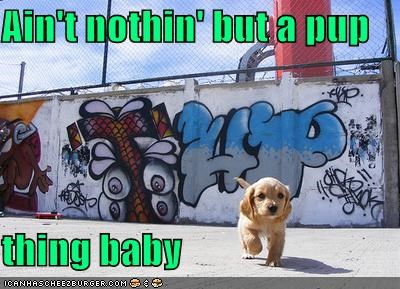 Ain't nothin'