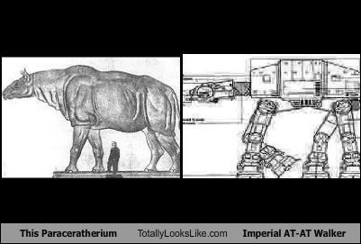 This Paraceratherium Totally Looks Like an Imperial AT-AT Walker