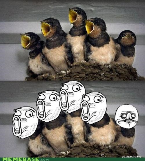 Me Birdsta
