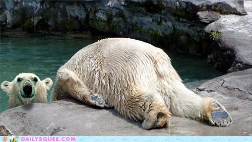 Acting Like Animals: LOL Horsemaning