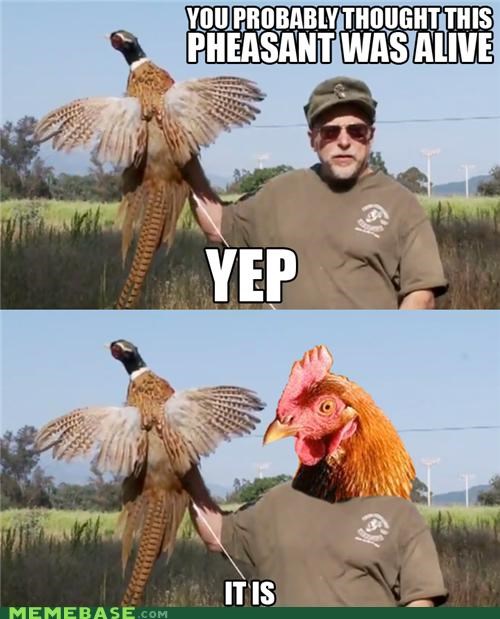 Yep! Chuck Testa