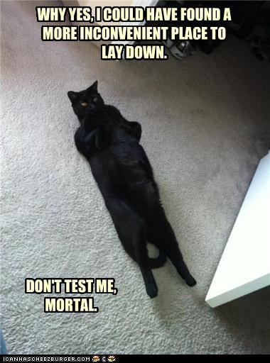 DON'T TEST ME, MORTAL.