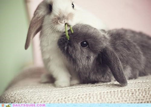 Happy Bunday!