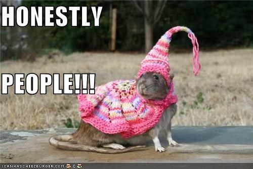 Stylin'!