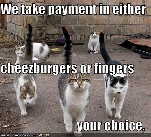 We take payment in either  cheezburgers or fingers your choice.