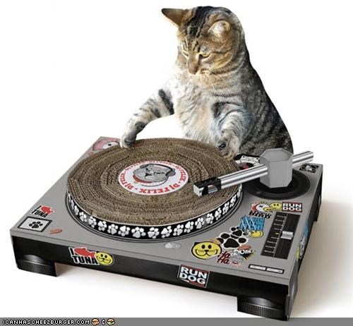 Kool Kitteh Toy: Cat Scratch