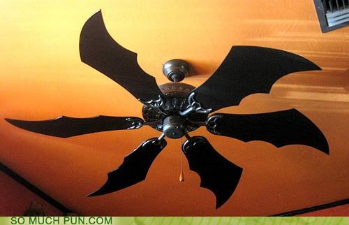 I'm a Big Batman Fan!