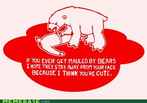Bears Never Listen
