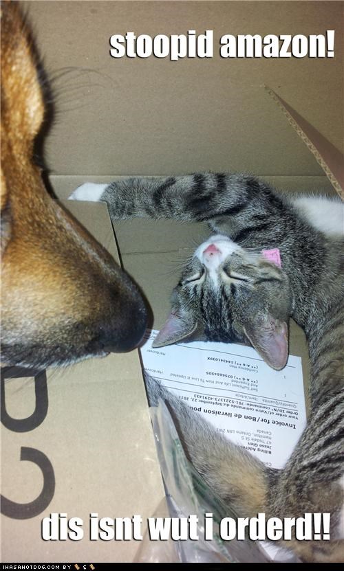 stoopid amazon!