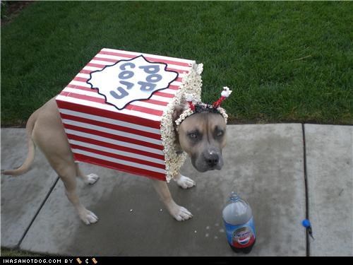 Dogtober 2011: I'll Bring Snacks!