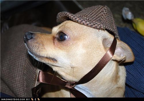 Dogtober 2011: Mysteries Won't Solve Themselves!