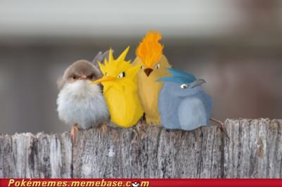 The Legendary Birds Mingle With Their Lowly Counterpart