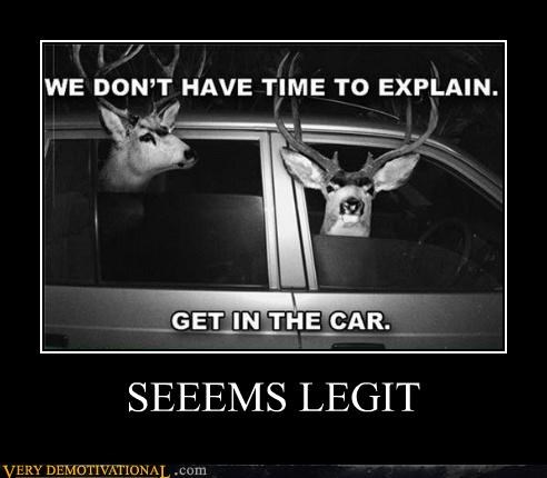 SEEEMS LEGIT