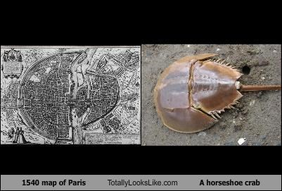 TLL Classics: 1540 Map Of Paris Totally Looks Like A Horseshoe Crab