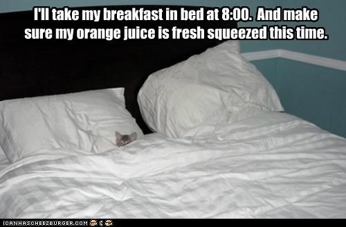 I'll take my breakfast