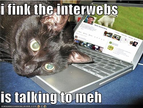 i fink the interwebs  is talking to meh
