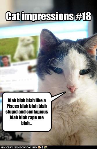 Cat impressions #18