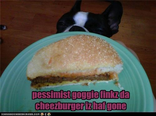 pessimist goggie